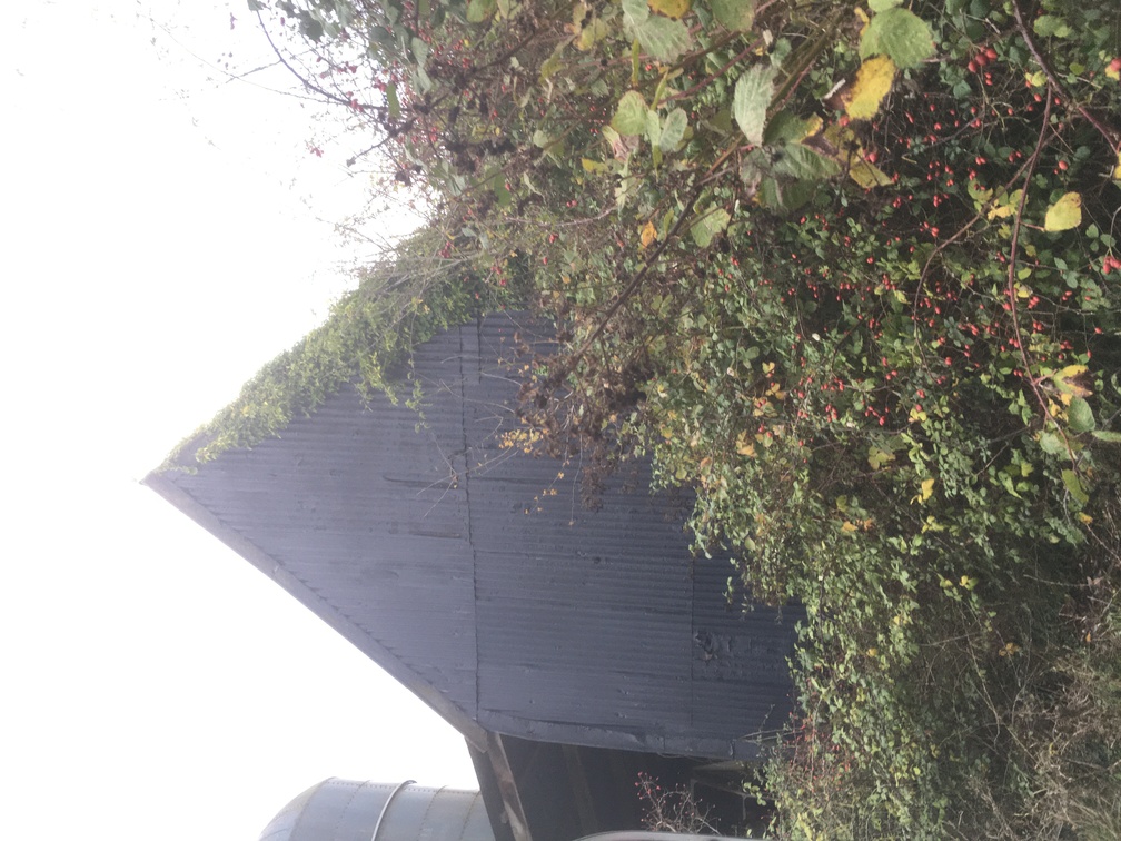 Tudor Barn from E