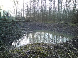 Queen Mary's Wood pond: Half Refilled