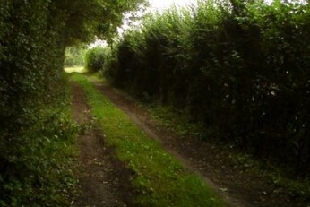 Queen Mary's Lane passing Queen Mary's Plantation