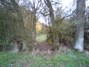 Entrance into the original Queen Mary's Lane through Queen Mary's Wood