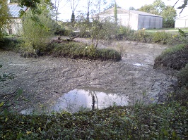 Home Farm pond: Dredged