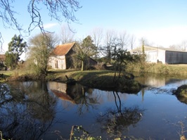 Home Farm pond: Cleared