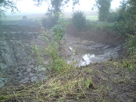 Home Meadows pond: Dredged