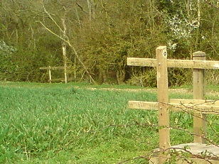 Bridge into the SW of the Woodland Trust