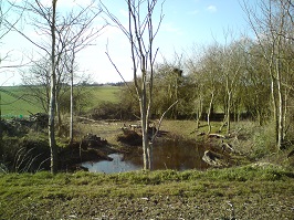 Big Brittles pond: Cleared