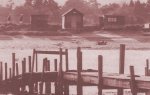 Walberswick boardwalk